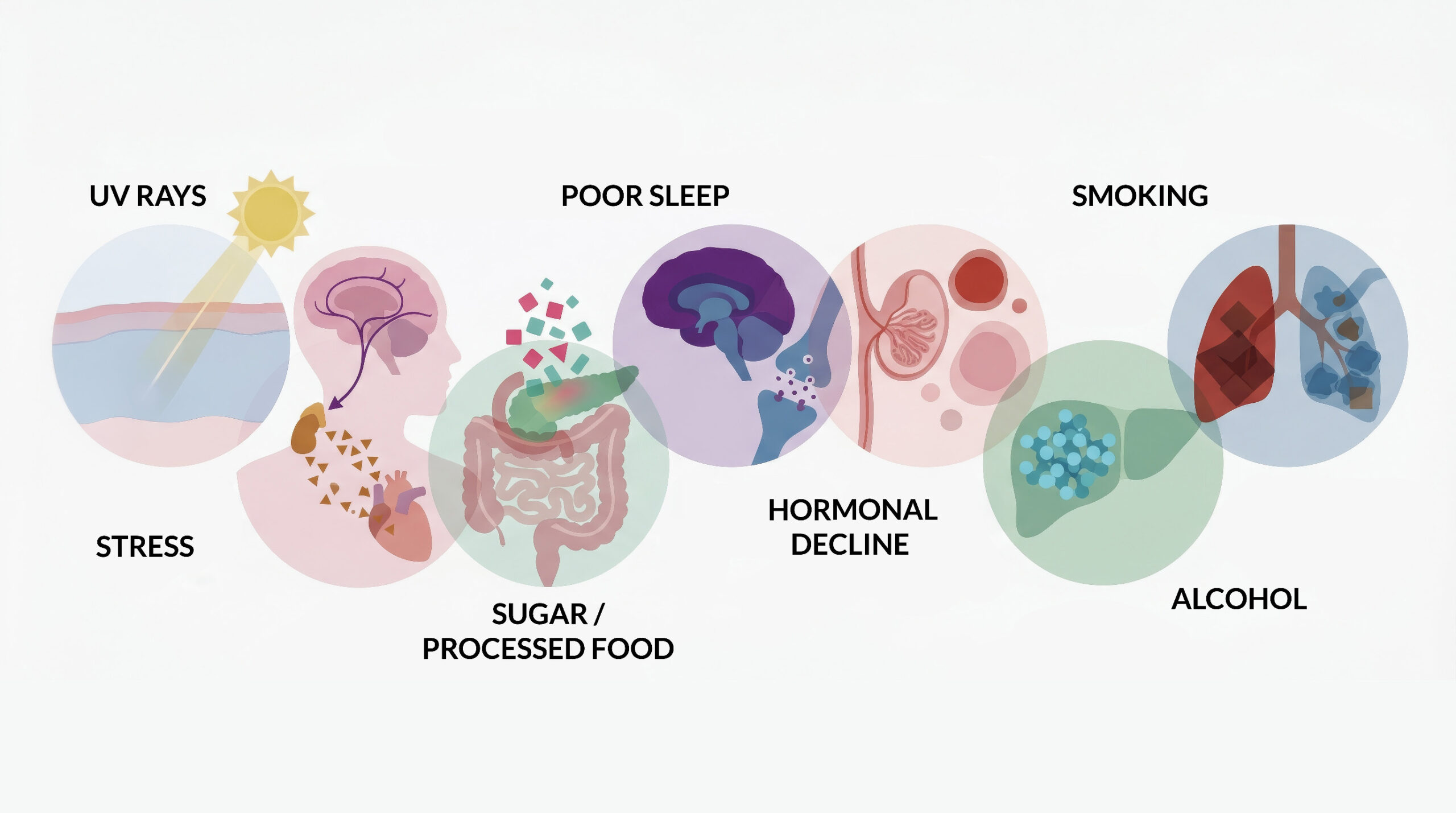 Illustration of hidden lifestyle factors contributing to chronic inflammation and skin aging