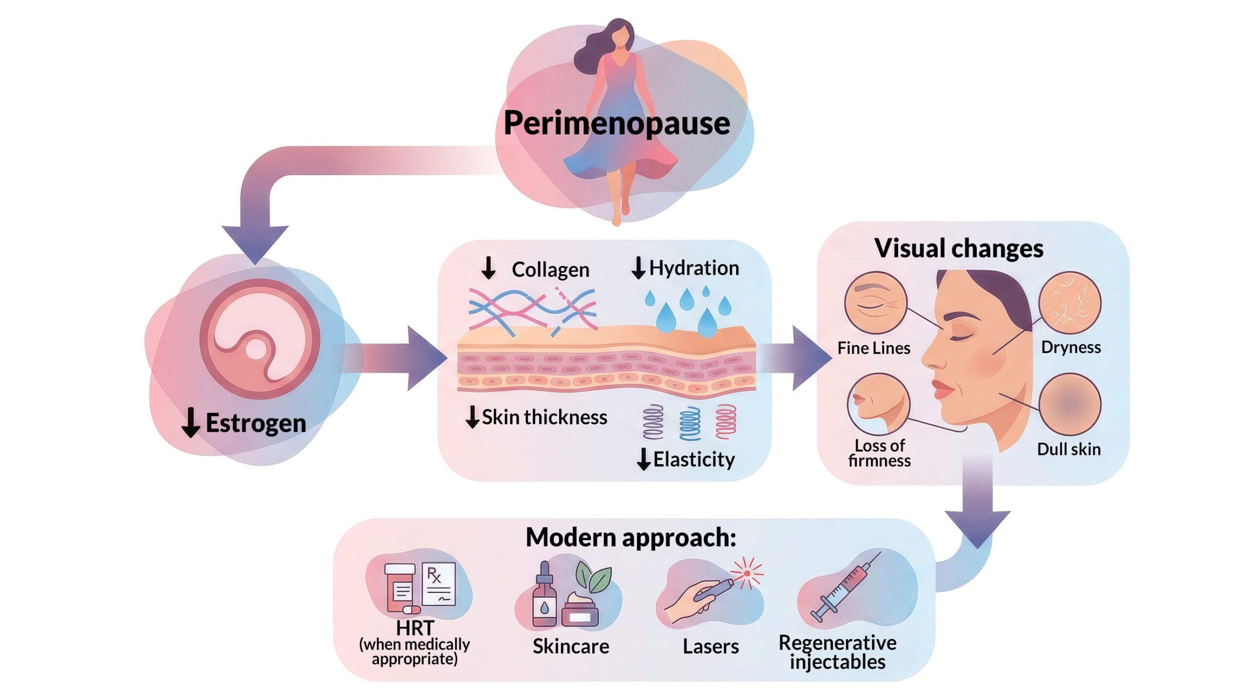 Illustration showing how hormonal changes during perimenopause reduce estrogen, collagen and skin hydration, leading to visible skin aging and modern treatment options.